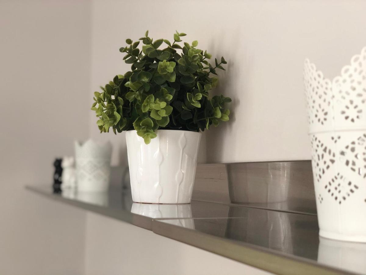 Arche De Noe Apartment Colmar Ngoại thất bức ảnh